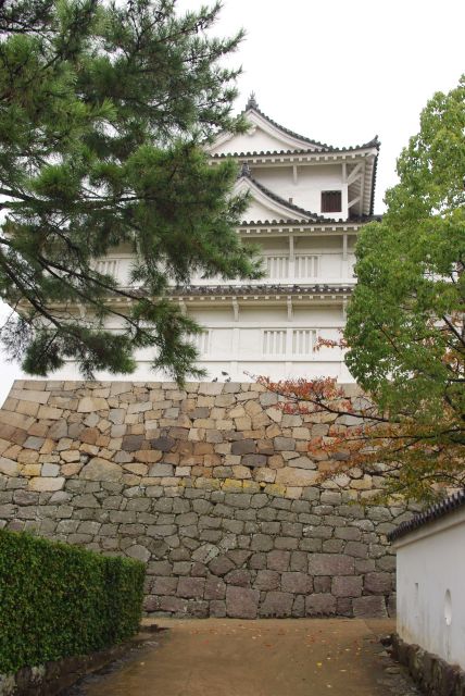 最初に重要文化財の伏見櫓。伏見城から移築されたもので駅からも見えます。