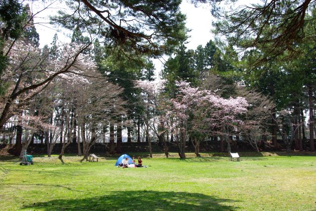 高木に囲まれた自然豊かな陣屋の広場。桜の木の下でシート広げて憩う人たちも。