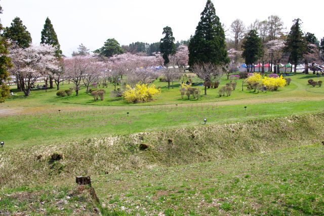 空堀の先に隣接する広場には桜が並ぶ。