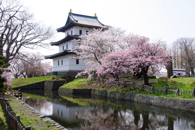 松前城の桜の写真ページへ
