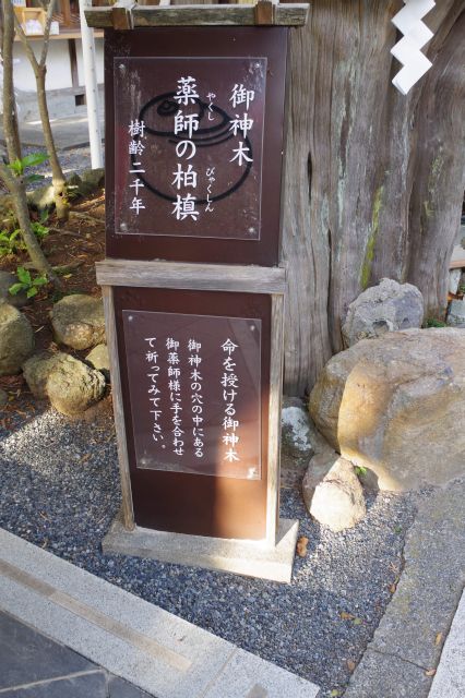 御神木、樹齢2000年の薬師の柏槇（ビャクシン）は県指定天然記念物。