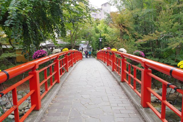 朱色がきれいな桂橋。