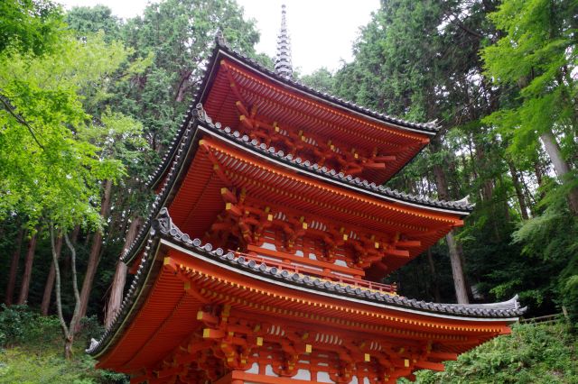 心地よい自然に囲まれ、静かに多くの文化財を有するお寺でした。