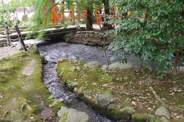 神社内で分岐した小川が合流する。