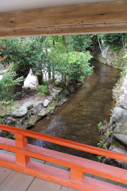片岡橋からの川の流れ。