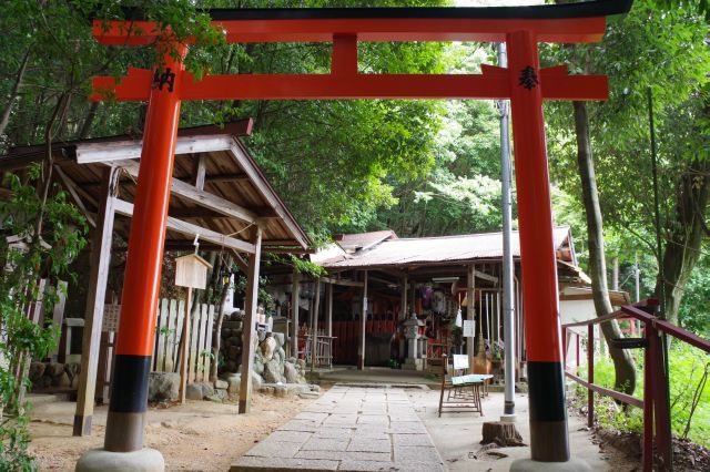 登ると二葉姫稲荷神社へ。全体的に自然を感じられる心落ち着く神社でした。
