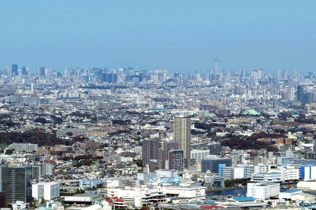 遠くには東京の高層ビル群。東京タワーとスカイツリーも。
