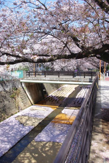 麻生川橋。
