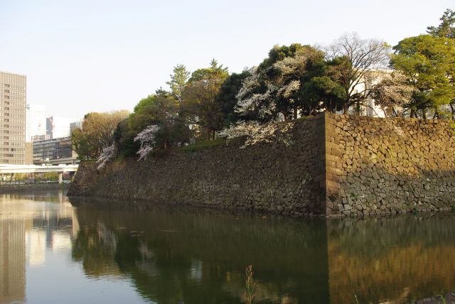 夕陽を浴びる江戸城の石垣。
