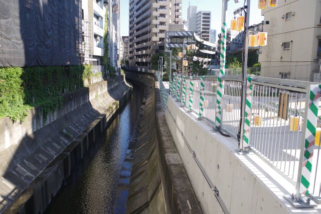 道路の先にも渋谷川と遊歩道が続く。