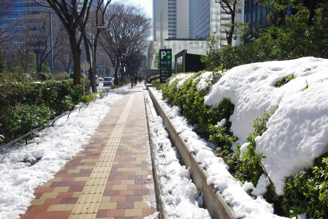歩道も雪かきされていて歩きやすい。