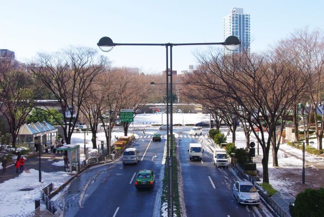 新宿中央公園も真っ白。