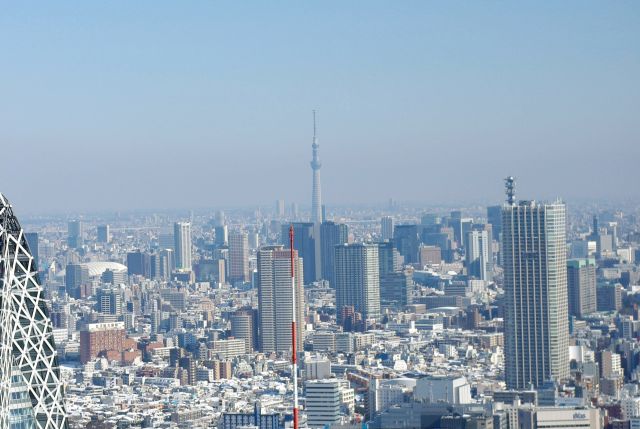 東京スカイツリー、東京ドーム。