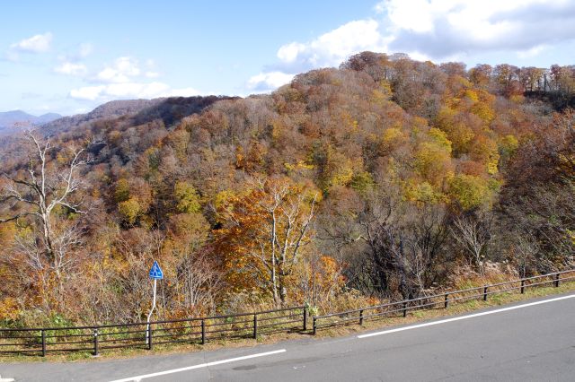 右側も色づいた紅葉の山。