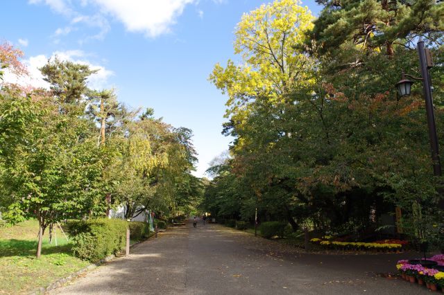 三の丸、静かで風の葉の音が心地よい道、両側には市民広場と弘前城植物園。