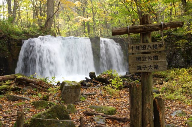 人が集まる奥入瀬のシンボルの銚子大滝。