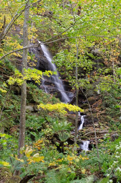 森の中の繊細な水の流れの九段の滝。