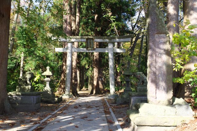 休屋地区の商店街を抜けると鬱蒼とした森に十和田神社が現れます。