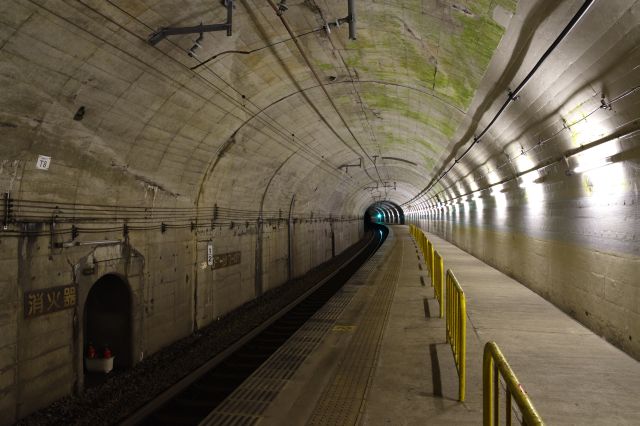 カーブしたトンネル駅、椅子などはなく柵がある。