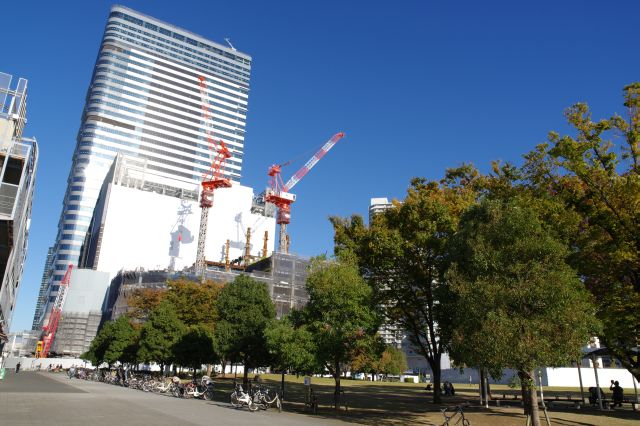 豊洲公園と豊洲駅方面の建物。工事の音が響きます。