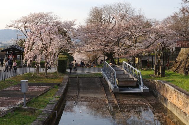 蹴上インクラインの桜の写真ページ