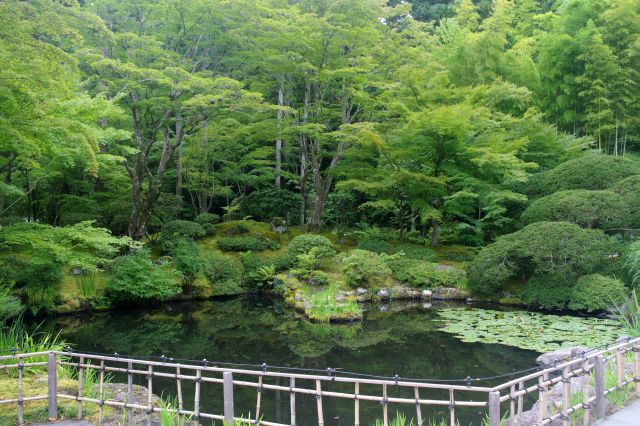 心字池を囲う遠州の庭、伊達藩江戸屋敷にあった小堀遠州作の庭園を移設といわれる。