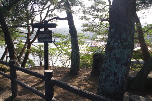 売店のある最初の小島。右側は松の木の間から桟橋が見えます。