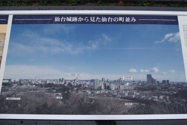 仙台城跡から見た仙台の町並み。