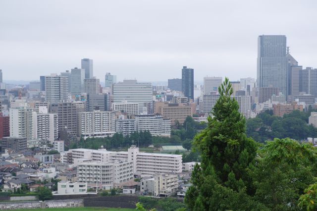 仙台駅周辺。駅南西にある仙台トラストタワーは高さ180mで東北地方で最も高い。