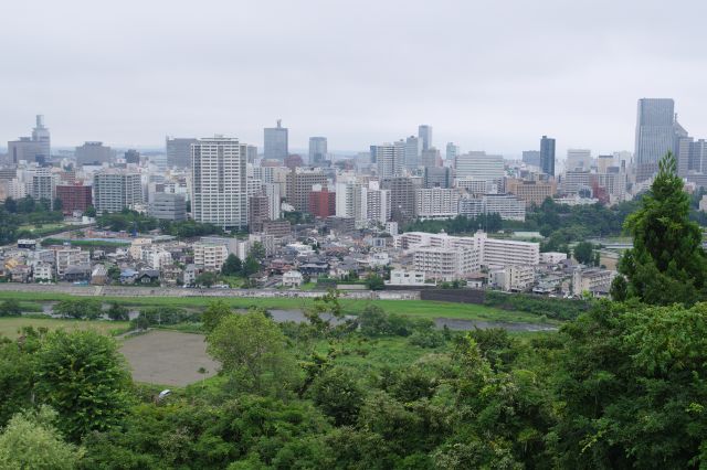 仙台中心部を俯瞰。