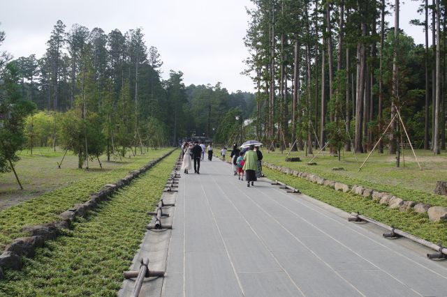 瑞巌寺の参道へ。杉並木は東日本大震災の津波の影響で伐採されています。