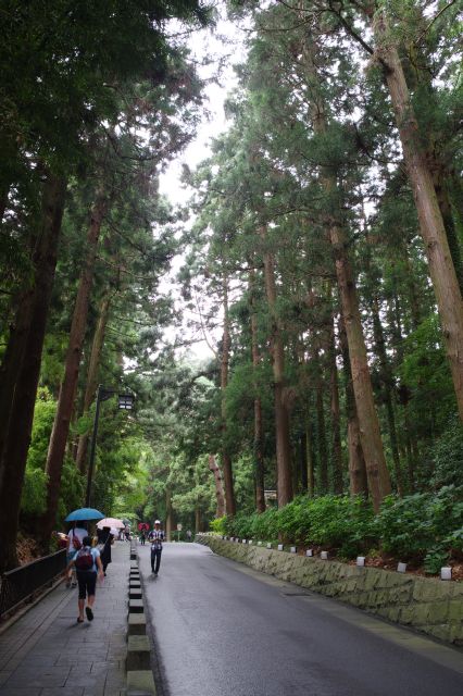 るーぷる仙台の瑞鳳殿前から林の坂道へ。静かで山の涼しい空気感、自然の香り。