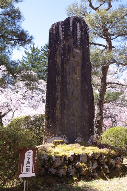 天下第一の桜の石碑があります。