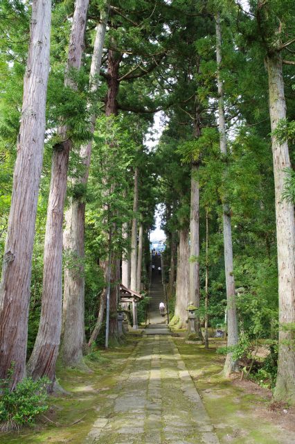 高い杉が立ち並ぶ石畳の参道。静かで風がゆする葉の音や土の香りが自然を感じられてが心地よい。