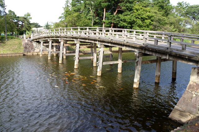 木製の極楽橋。堀には鯉が沢山。