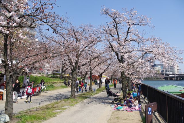 川沿いの桜並木と花見客。