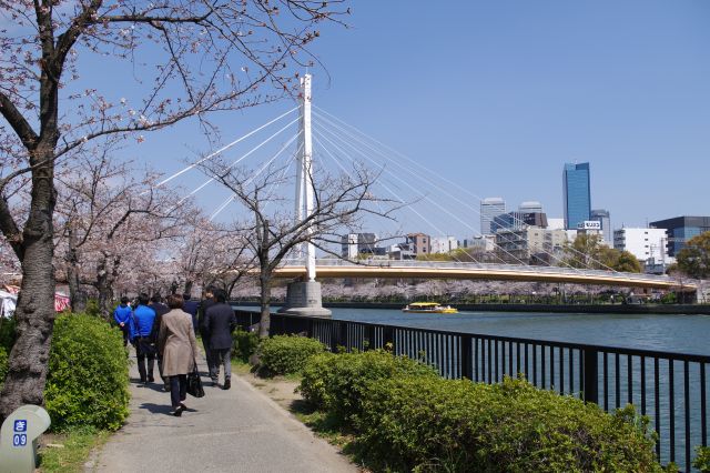 川崎橋という吊り橋。