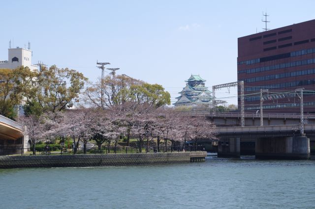 寝屋川合流地点から大阪城の天守閣が見えました。
