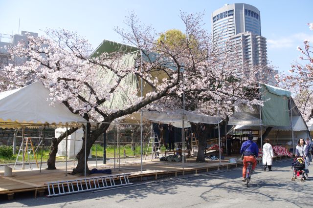 様々なテントが設営され、桜をよける形のも。
