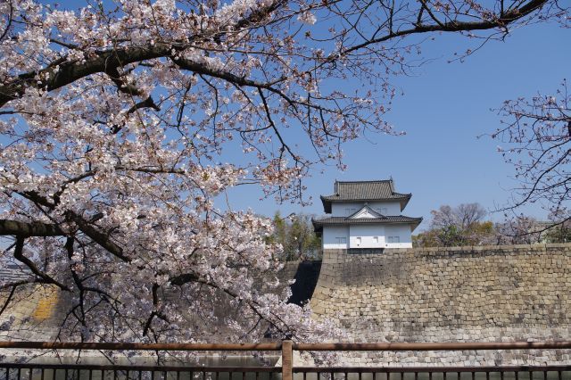 六番櫓と桜の木。