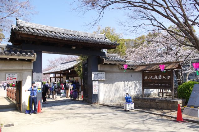 大阪城の中でも特に桜の名所である西ノ丸庭園に入ります。