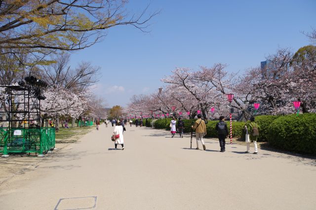 中は広い空間で和風のBGMが流れ、右側の堀沿いの桜並木が続きます。