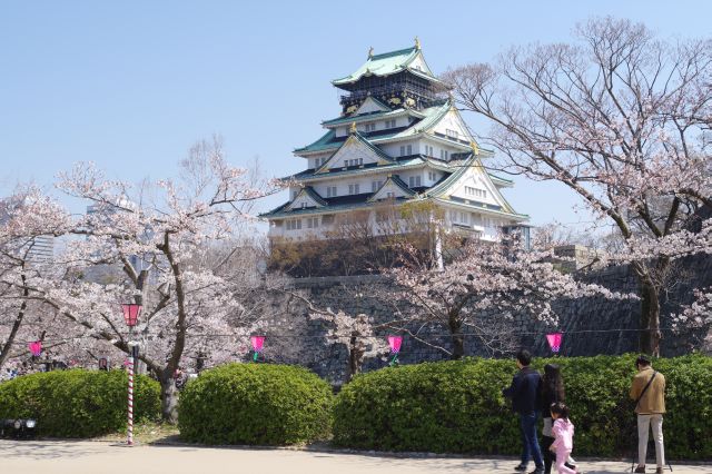 大阪城(2019年)[2]西の丸庭園の桜の写真ページ