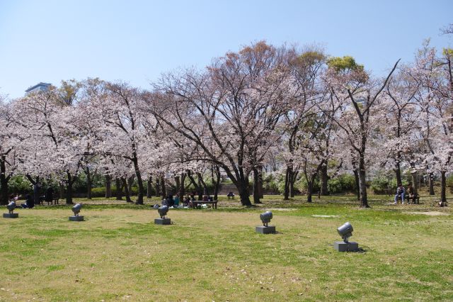西側の桜地帯では静かに花見をする人達。