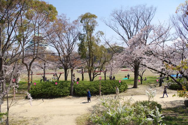 広場の中心方向。天守閣に向かい思い思いに桜を楽しむ人々。
