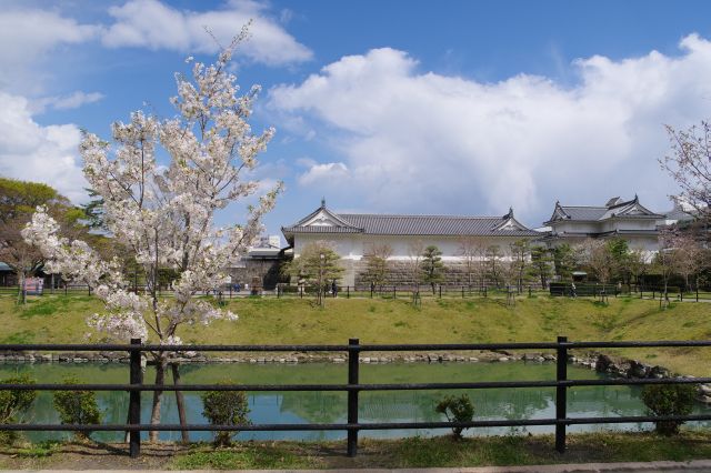 本丸堀と東御門・巽櫓と桜。