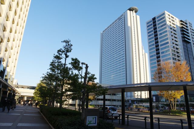 横須賀口へ戻りました。再開発エリアを囲うようにそれぞれ離れた武蔵小杉駅。