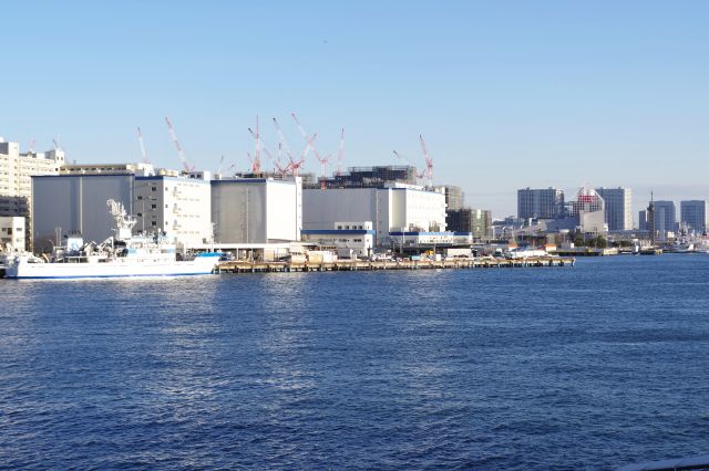 豊海の倉庫群と晴海客船ターミナル。