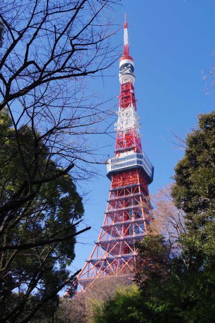 増上寺から東京タワーへ進みます。