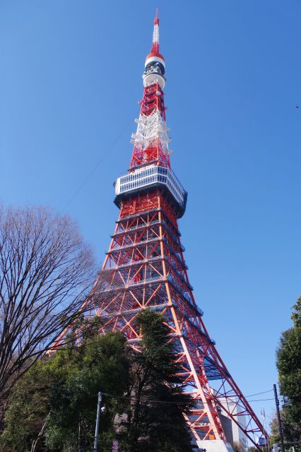 東京タワー前交差点から大きな東京タワーを見上げます。